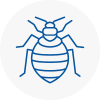 Bed Bug Extermination In Sawbridgeworth