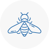 Bee Nest Removal Sawbridgeworth