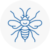 Sawbridgeworth Hornet Nest Removals