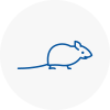 Mice Exterminators In Sawbridgeworth