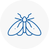Moth Control Specialists In Sawbridgeworth