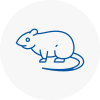 Rat Control Sawbridgeworth