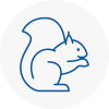 Sawbridgeworth Rodent Removals