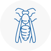 Sawbridgeworth Wasp Nest Removal